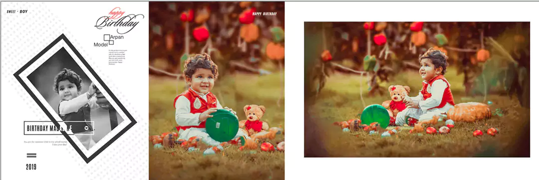 Birthday Album 12 x 36 Designs ideas